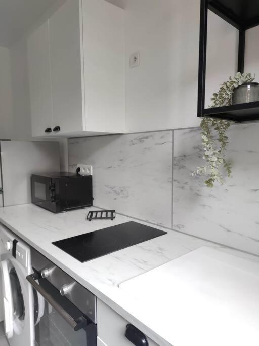 L'Evasion Du Coquelicot Apartment Albert Bagian luar foto